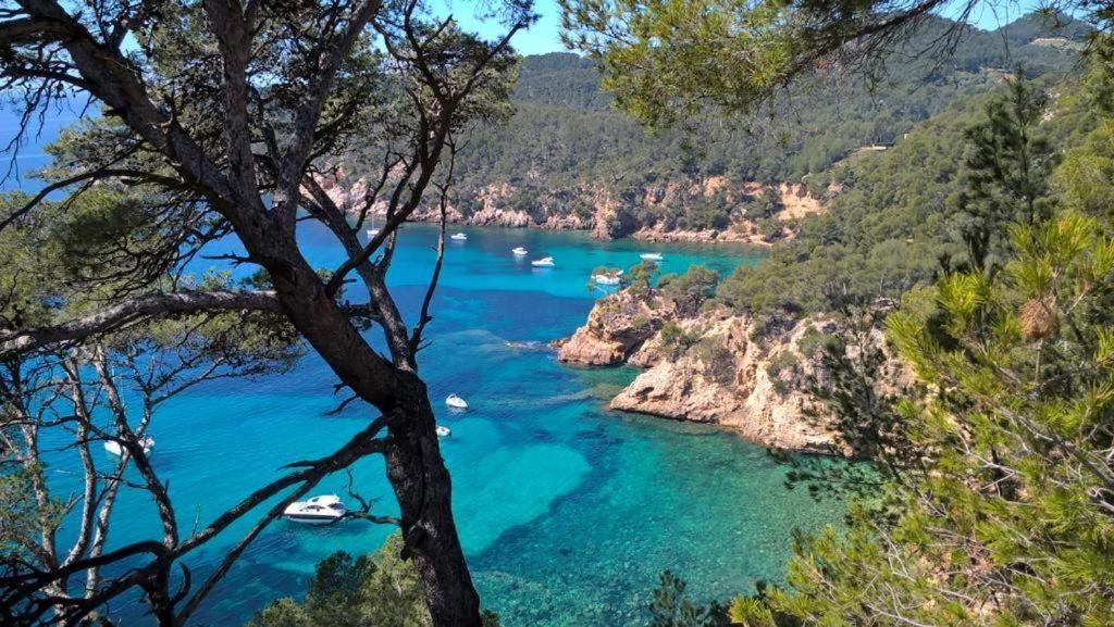 Studio Bandol Centre 2 Etoiles Ideal Emplacement Kültér fotó